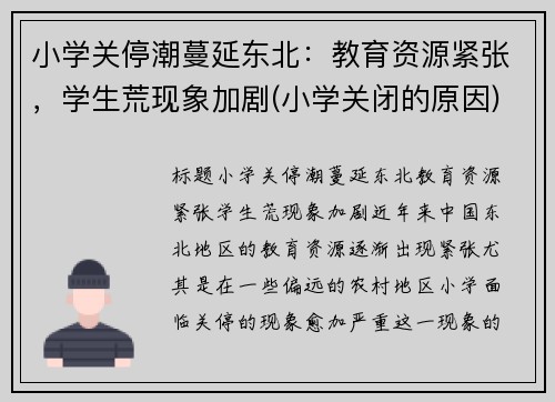 小学关停潮蔓延东北：教育资源紧张，学生荒现象加剧(小学关闭的原因)