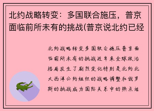 北约战略转变：多国联合施压，普京面临前所未有的挑战(普京说北约已经没有存在的必要了)