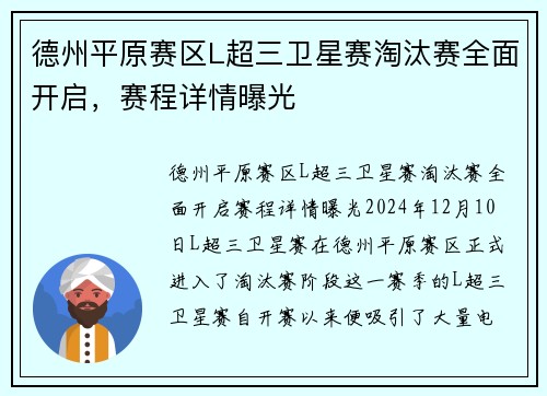 德州平原赛区L超三卫星赛淘汰赛全面开启，赛程详情曝光