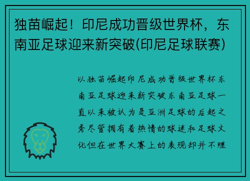 独苗崛起！印尼成功晋级世界杯，东南亚足球迎来新突破(印尼足球联赛)